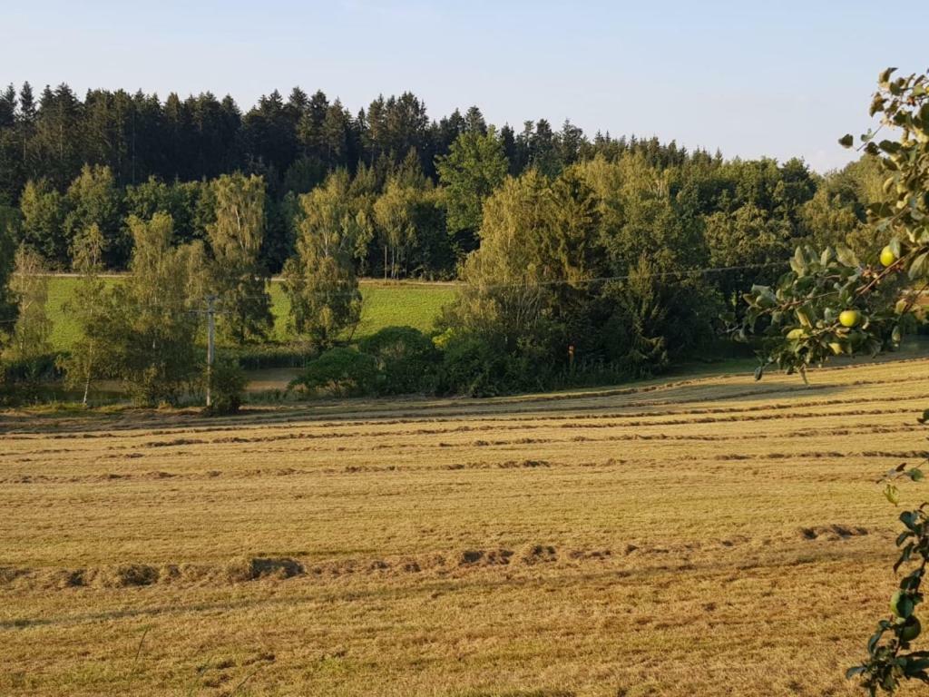 Ferienhof Loew Salzweg Exteriör bild
