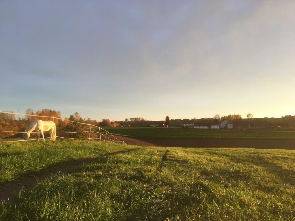 Ferienhof Loew Salzweg Exteriör bild